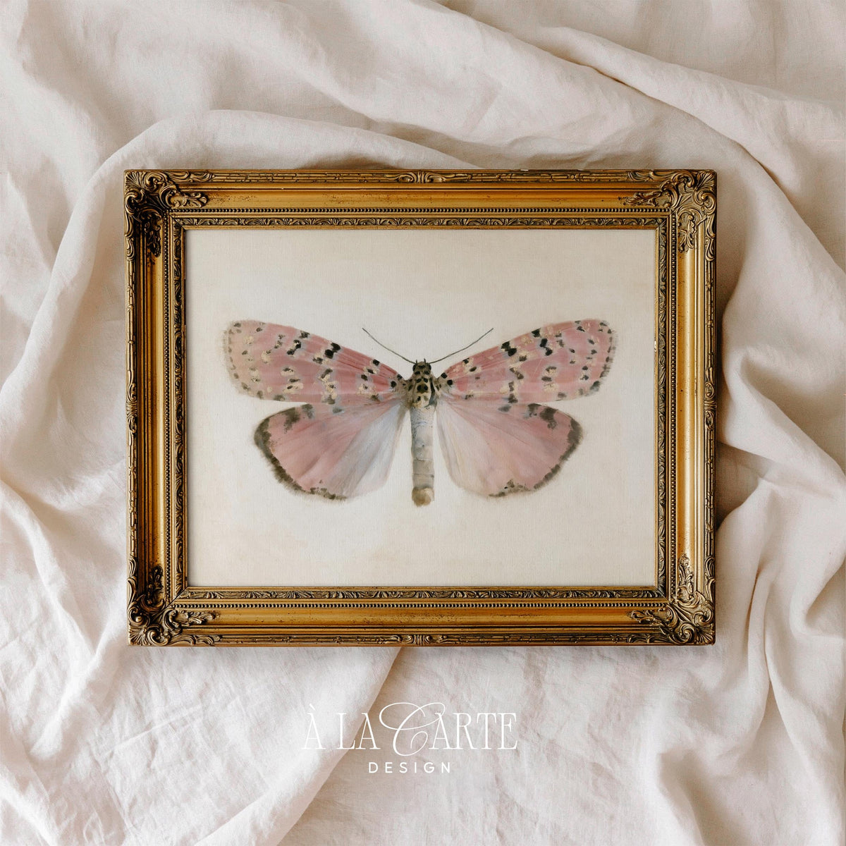 Pastel Butterfly Wall Art, Vintage Pink Moth Painting, Cottagecore Print, Insect Poster, Grandmillennial Art, French Country Decor V270