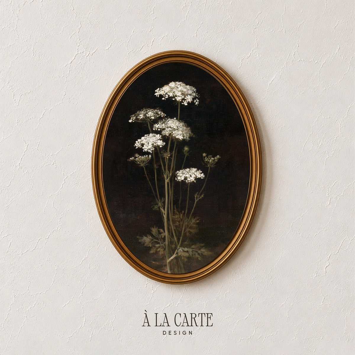 Dark background botanical wall art featuring white wildflowers — vintage-style nature study with rustic charm
