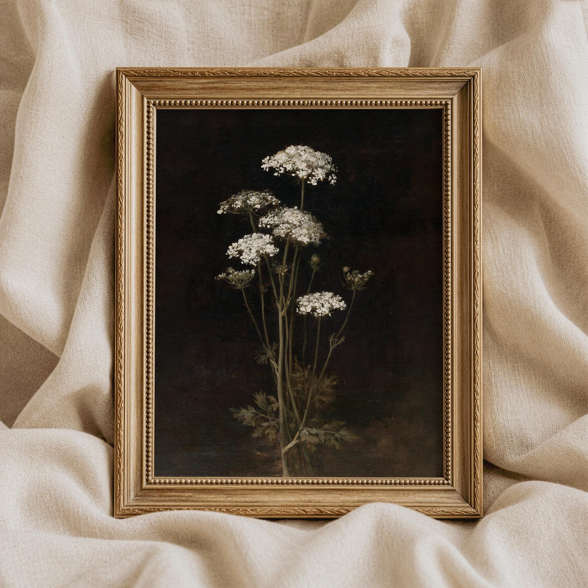 Dark academia botanical wall art featuring Queen Anne's Lace — elegant nature study with rich textured brushstrokes