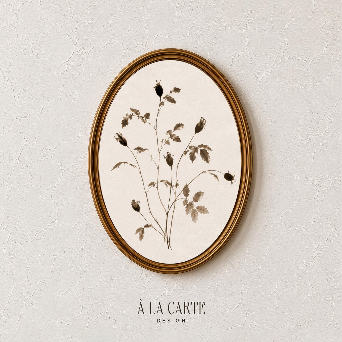 Antique botanical line drawing print — cottagecore aesthetic with soft muted herbaceous tones