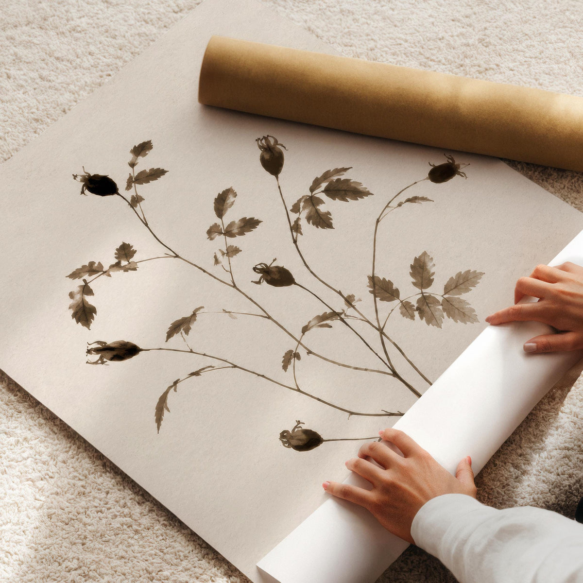 Minimal stem and pod illustration digital art — understated rustic plant study with vintage warmth