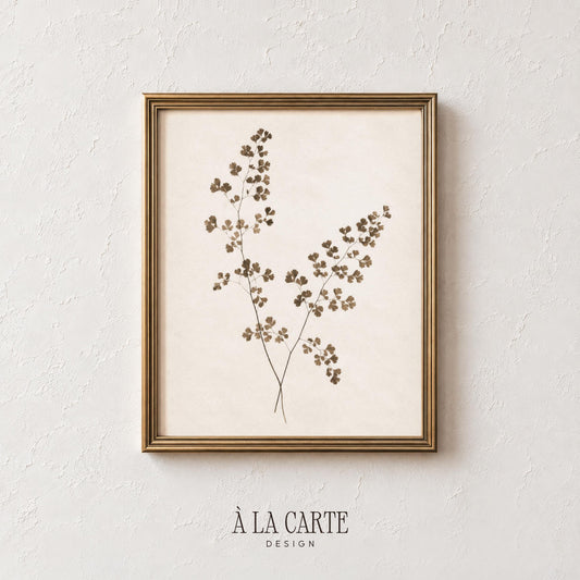 Delicate fern frond digital print — rustic nature illustration with muted earth tones