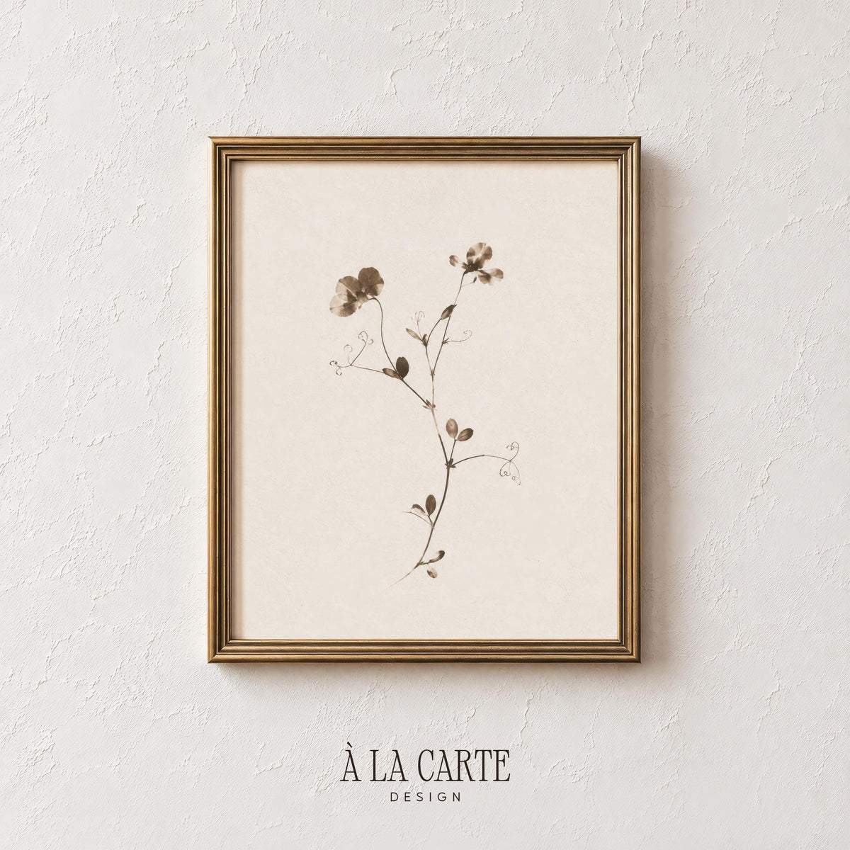 Cottage-style botanical print for kitchen — soft sepia tones with nature-inspired simplicity