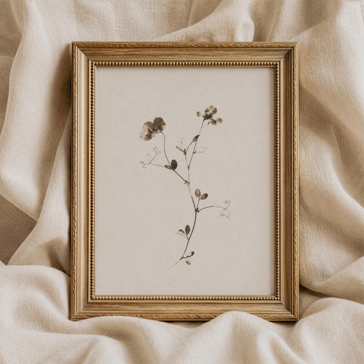 Minimal herbarium poster for living room — soft cream background with antique botanical charm