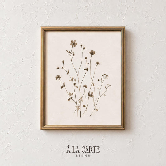Minimal Botanical Wall Art, Sepia Plant Print, Antique Herbarium, Neutral Botanical Printable, Vintage Floral Art, Abstract Botanical