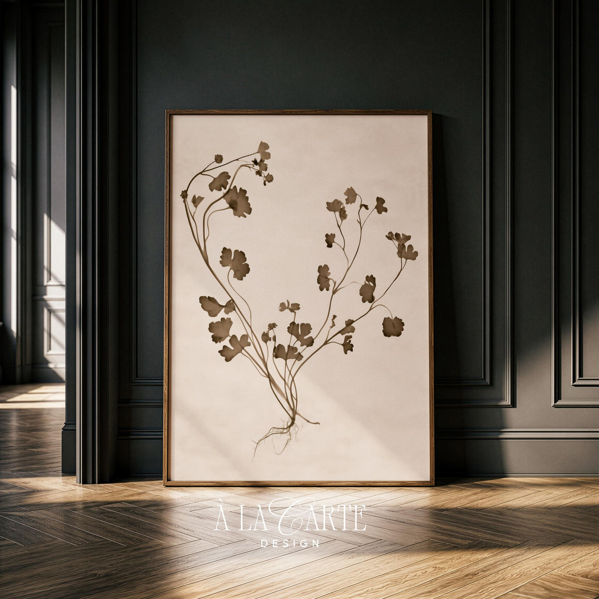 Delicate plant specimen printable art for farmhouse — muted olive-brown illustration with exposed root system