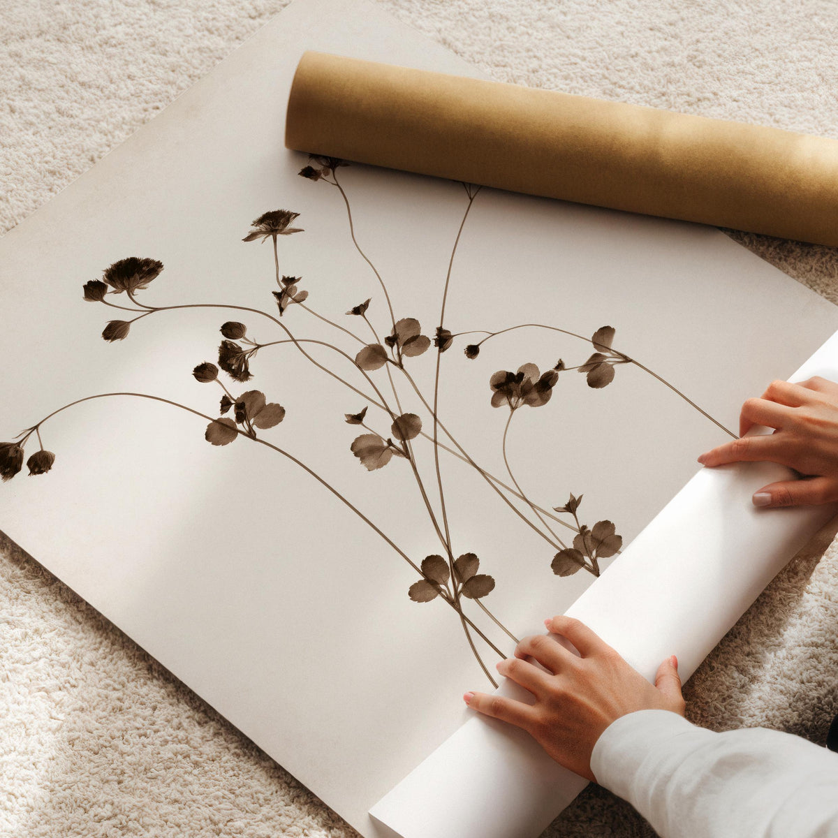 Botanical line drawing poster for entryway — curving plant branches with calming neutral palette and cottage style