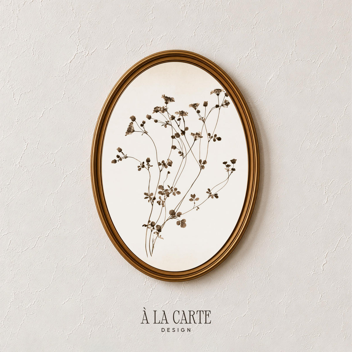 Herbarium specimen wall art featuring minimalist flower sprigs — soft brown vintage printable illustration
