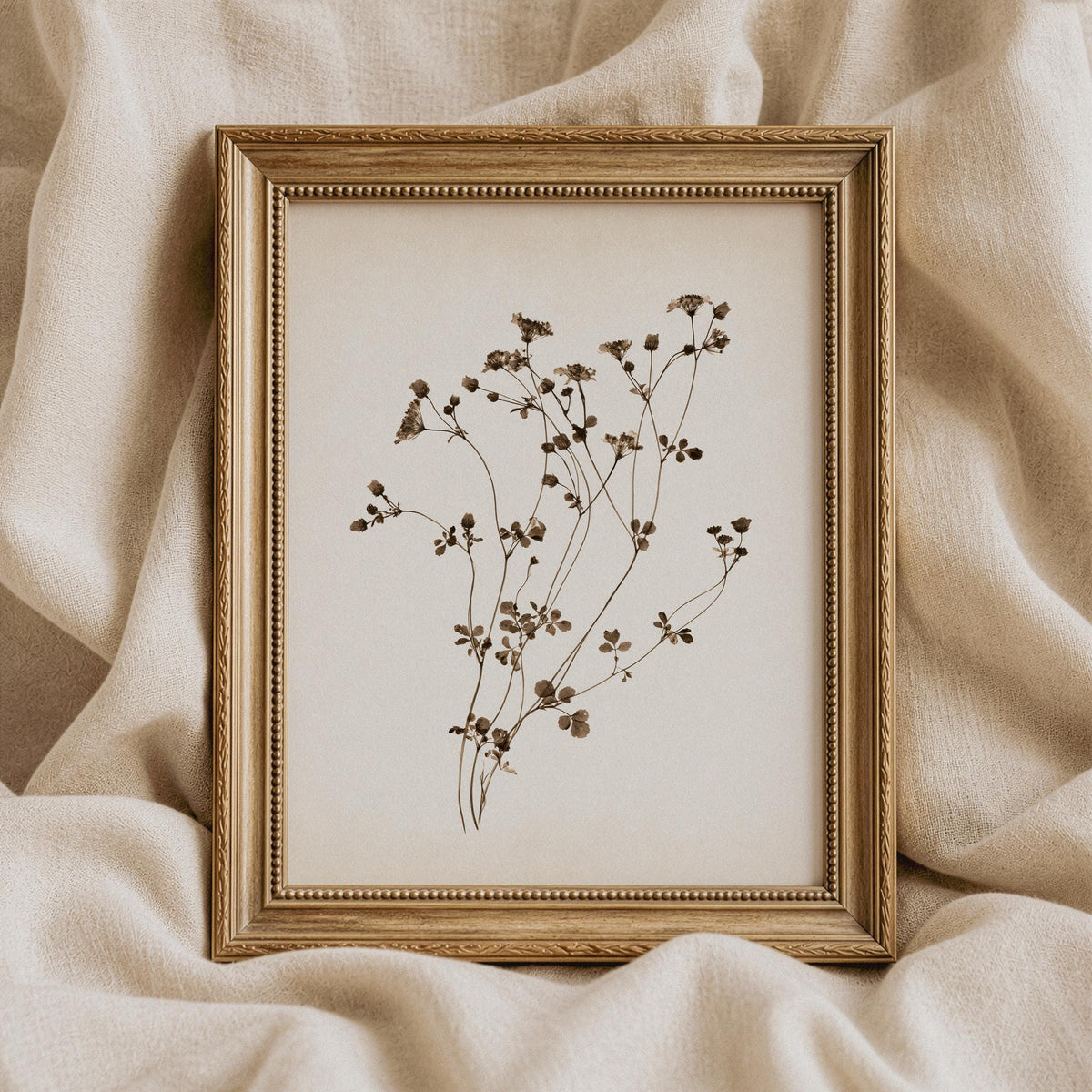Vintage botanical poster for guest bedroom — airy pressed-flower composition with understated natural styling