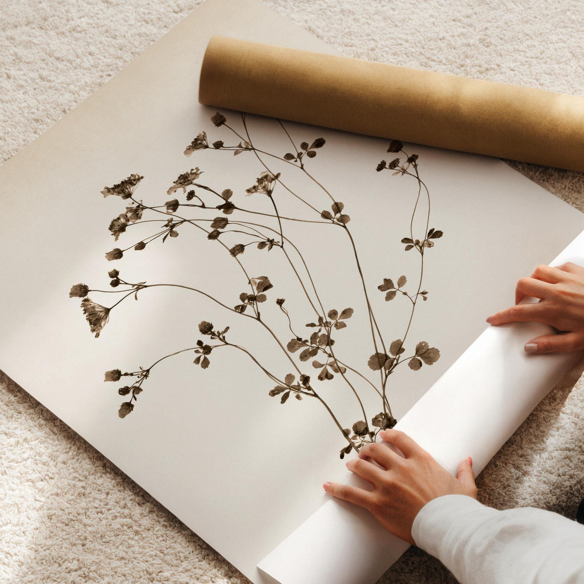 Rustic nature poster featuring wispy plant stems — vintage-inspired botanical wall art with neutral elegance