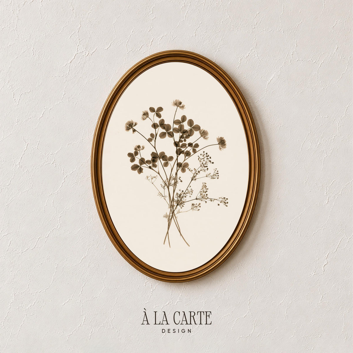 Botanical study wall art — fine-lined dried blossom sketch in soft sepia on cream, cozy cottage core style