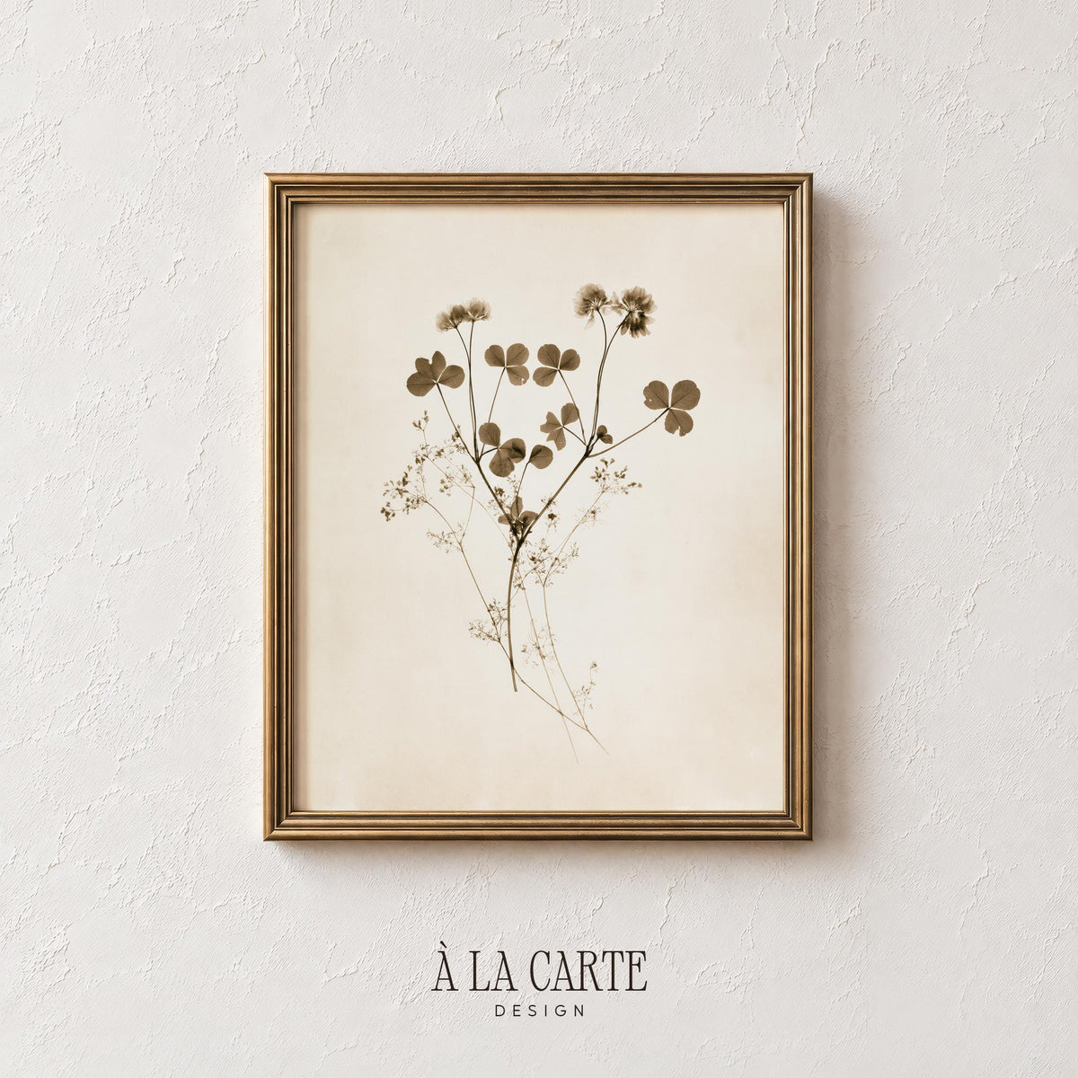 Clover and sprigs digital print for farmhouse — muted wildflower herbarium on aged paper background