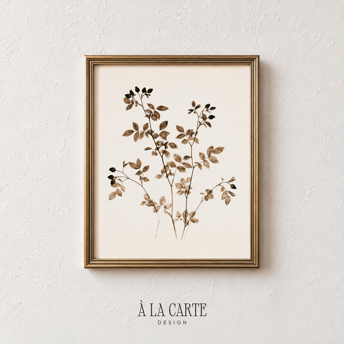 Vintage plant illustration digital download for dining room with rustic farmhouse aesthetic