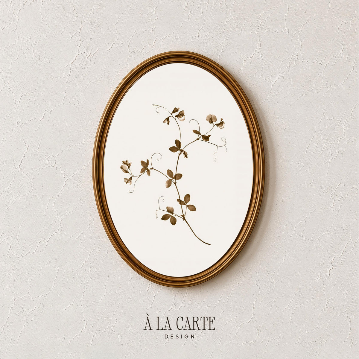 Botanical vine digital download for home office — minimalist illustration with small leaves and curling stems, vintage plant aesthetic
