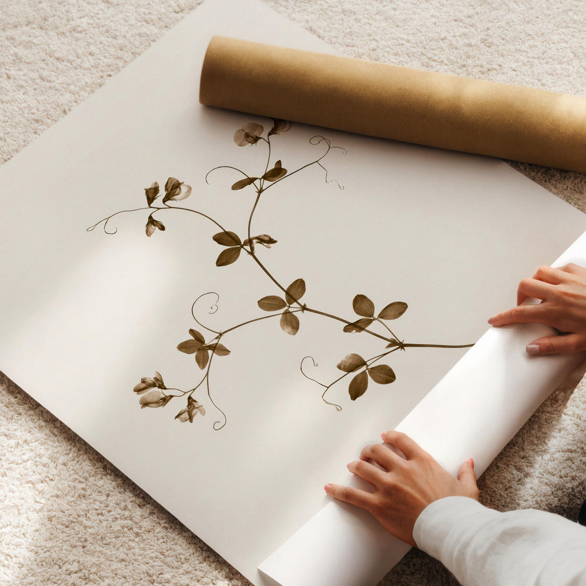 Hand-gathered wildflower vine picture for bedroom — vintage botanical print with clover leaves and dainty blooms on cream background