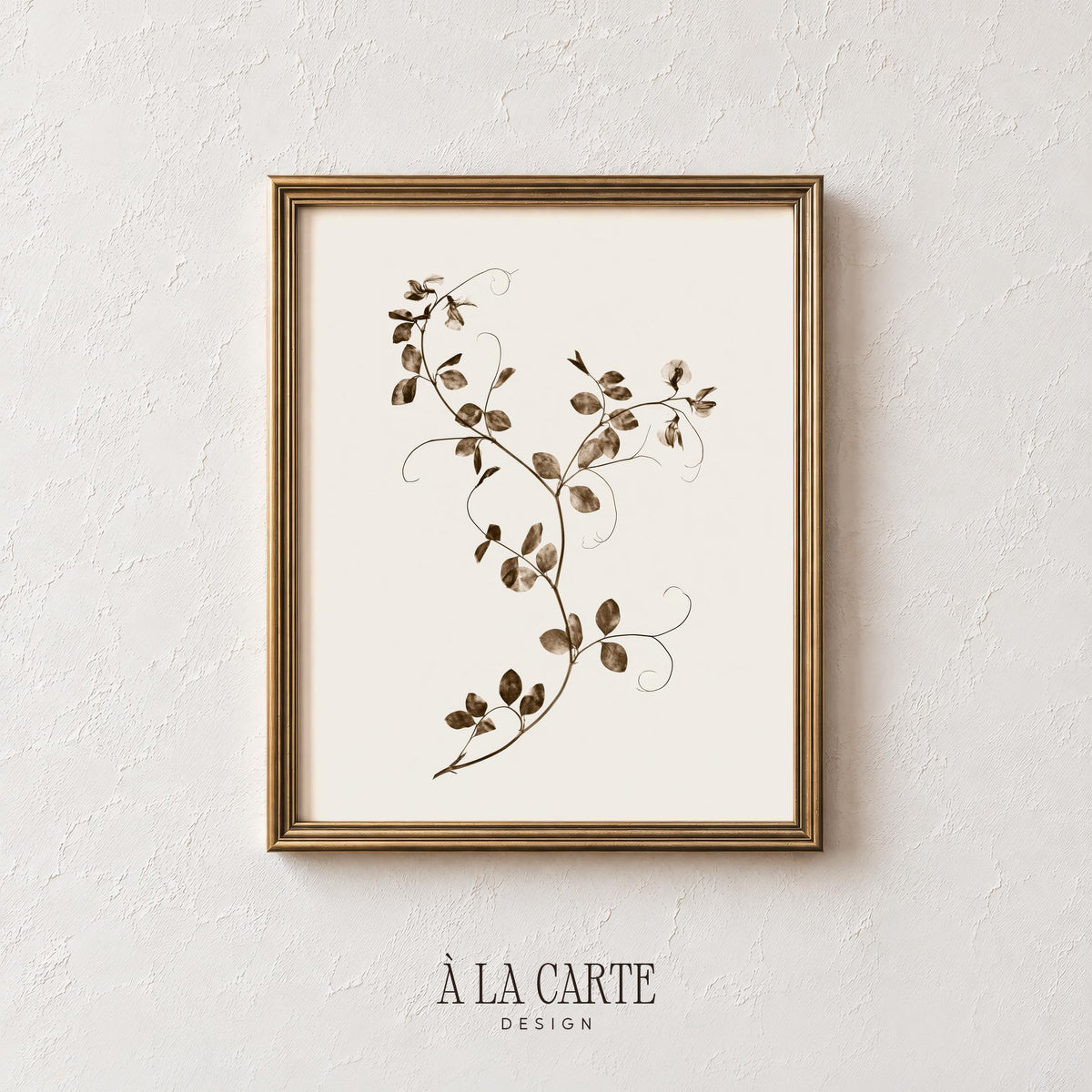 Delicate foliage line drawing — vintage botanical print art with scattered leaves, cream tones, and quiet elegance