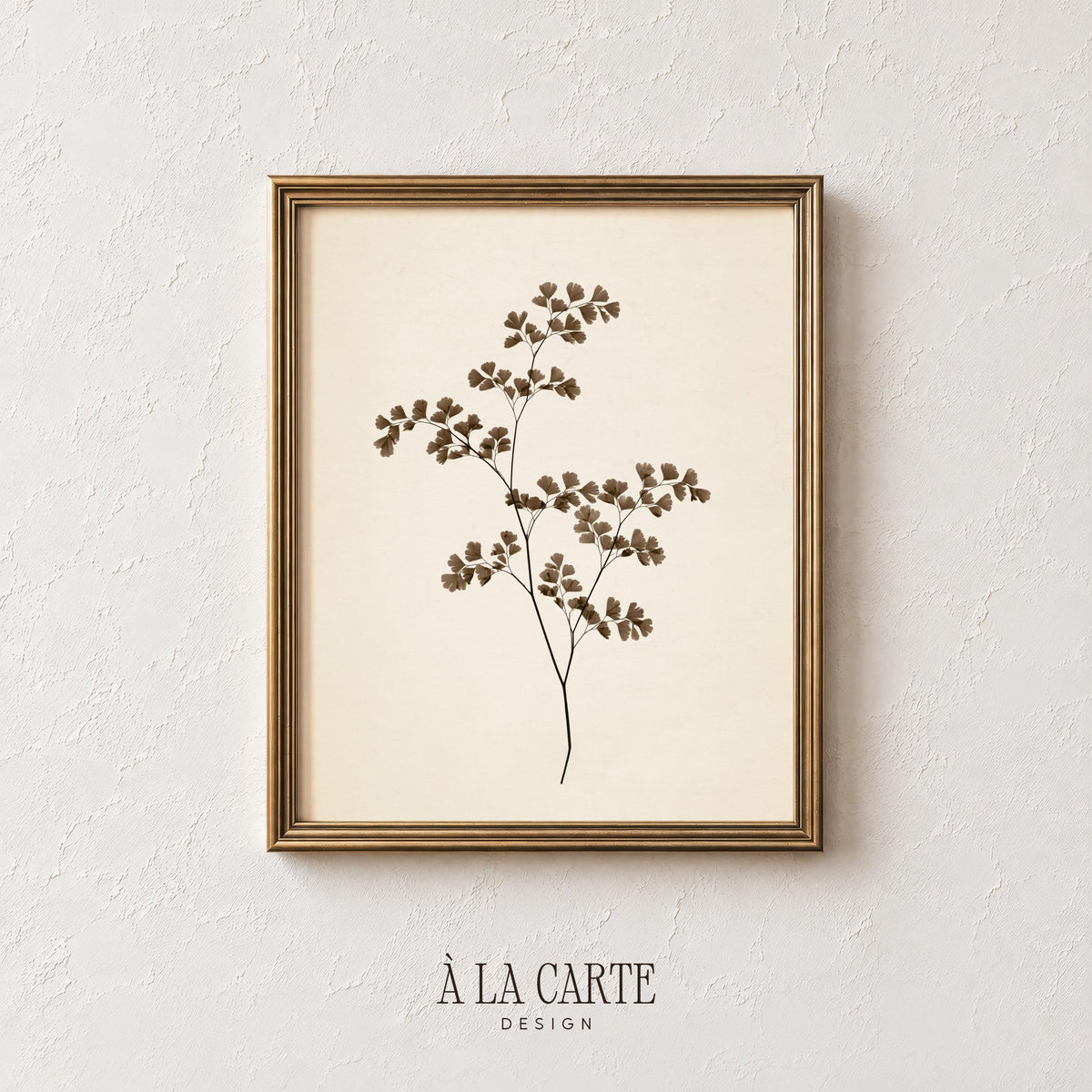 Vintage plant specimen wall art for dining room — botanical line illustration evoking pressed flower aesthetic