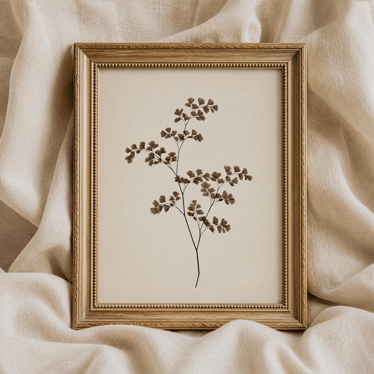 Cottage core pressed plant artwork featuring delicate fern-like foliage in warm ivory and brown palette