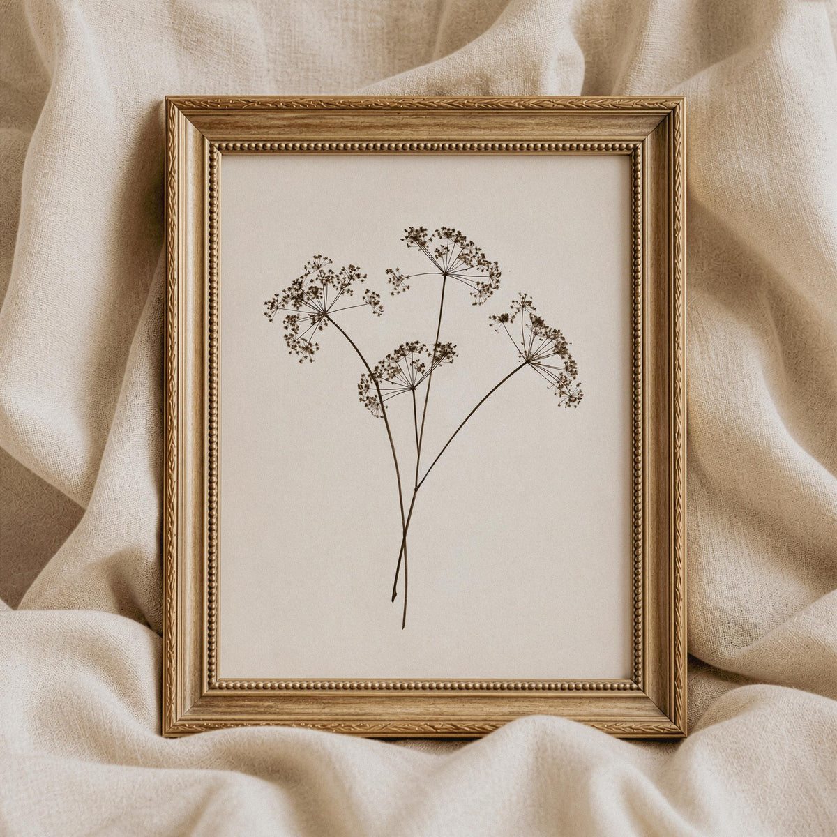 Cottagecore wildflower poster for kitchen — sepia botanical drawing of umbel flower stems with rustic botanical details