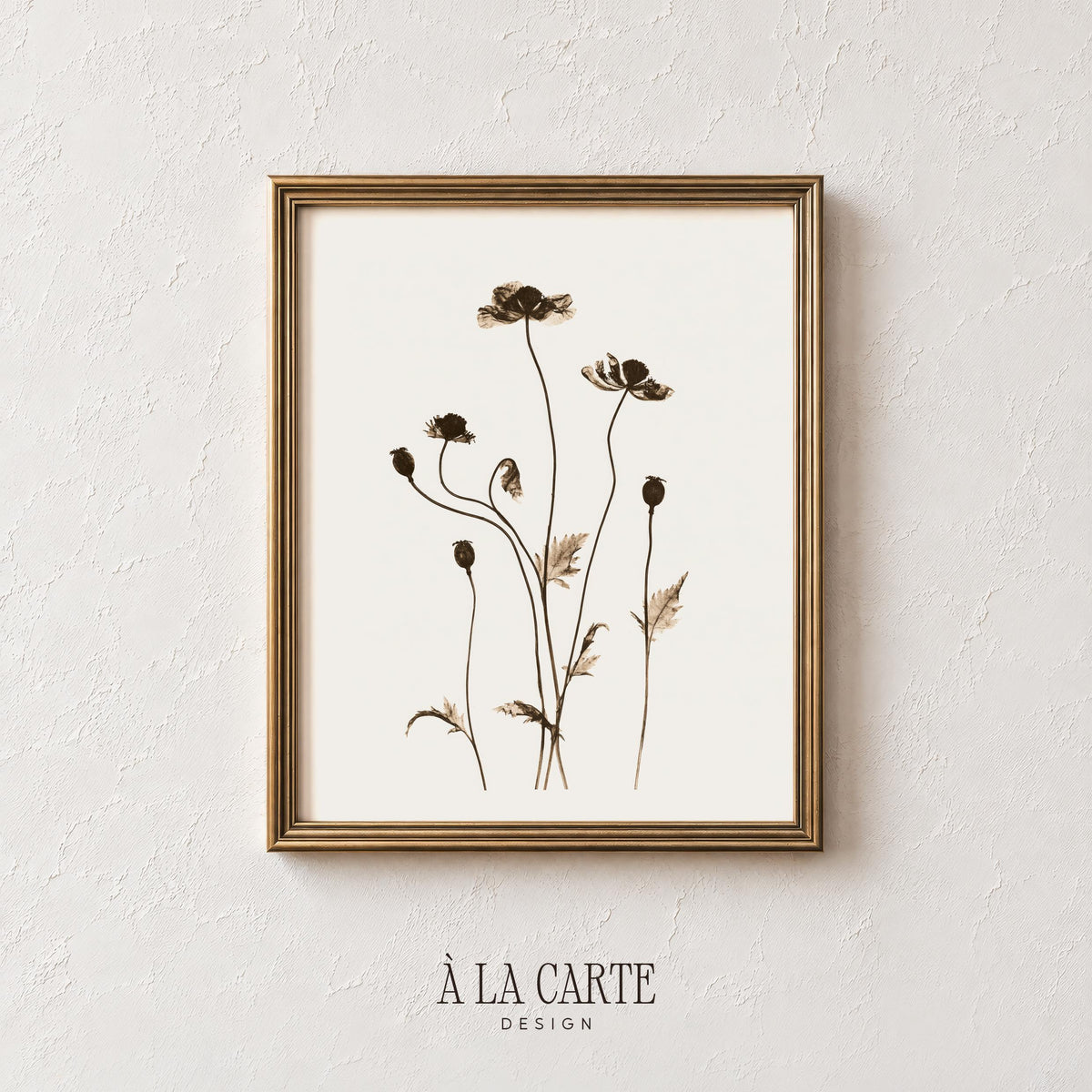 Fine-line botanical illustration wall art — cottagecore seedpod drawing in sepia tones for hallway or entryway