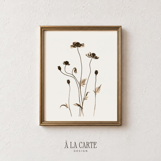 Fine-line botanical illustration wall art — cottagecore seedpod drawing in sepia tones for hallway or entryway