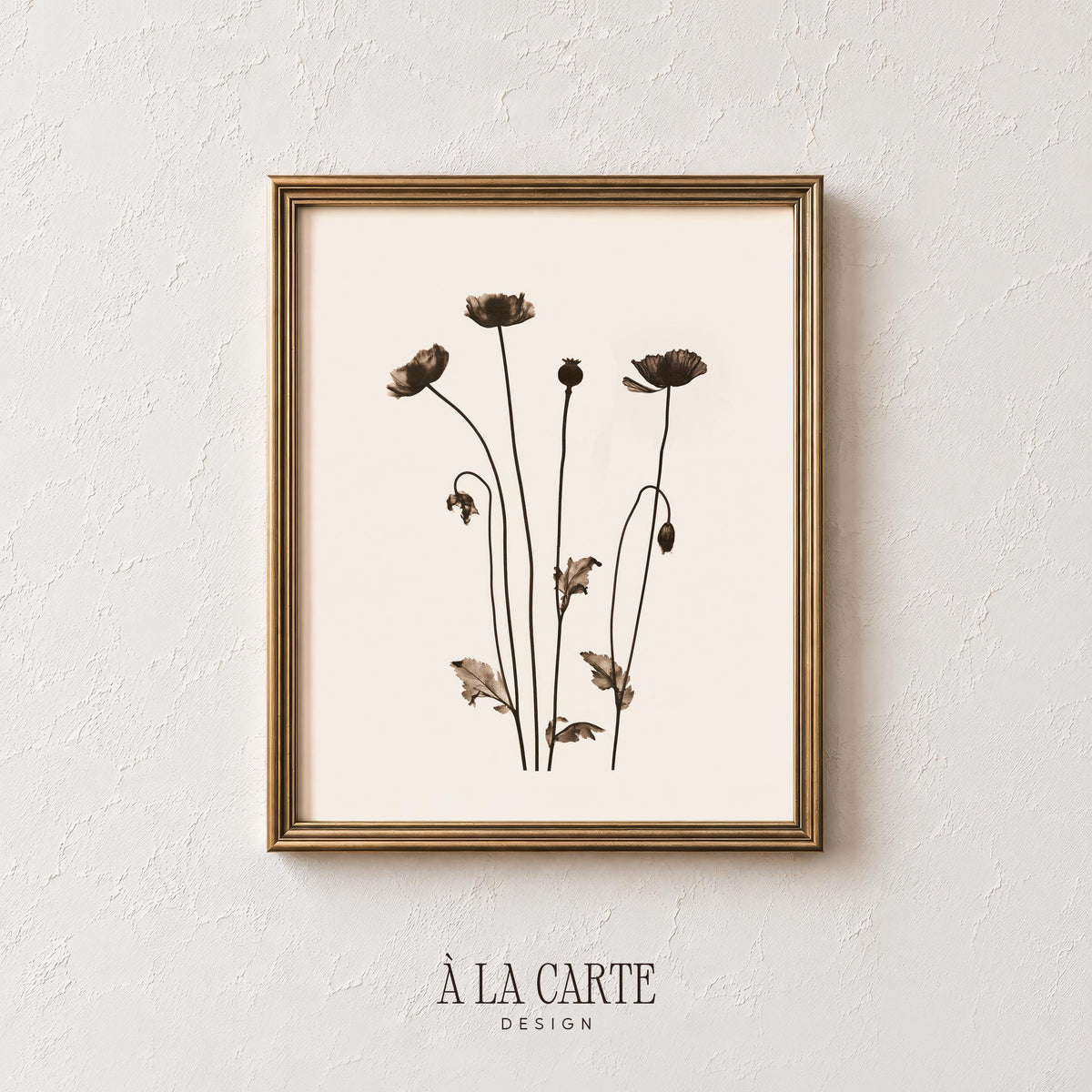 Antique pressed flower print digital download — minimal botanical illustration with slender poppy stems and soft vintage farmhouse appeal