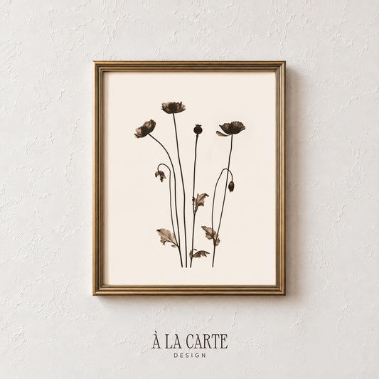 Antique pressed flower print digital download — minimal botanical illustration with slender poppy stems and soft vintage farmhouse appeal