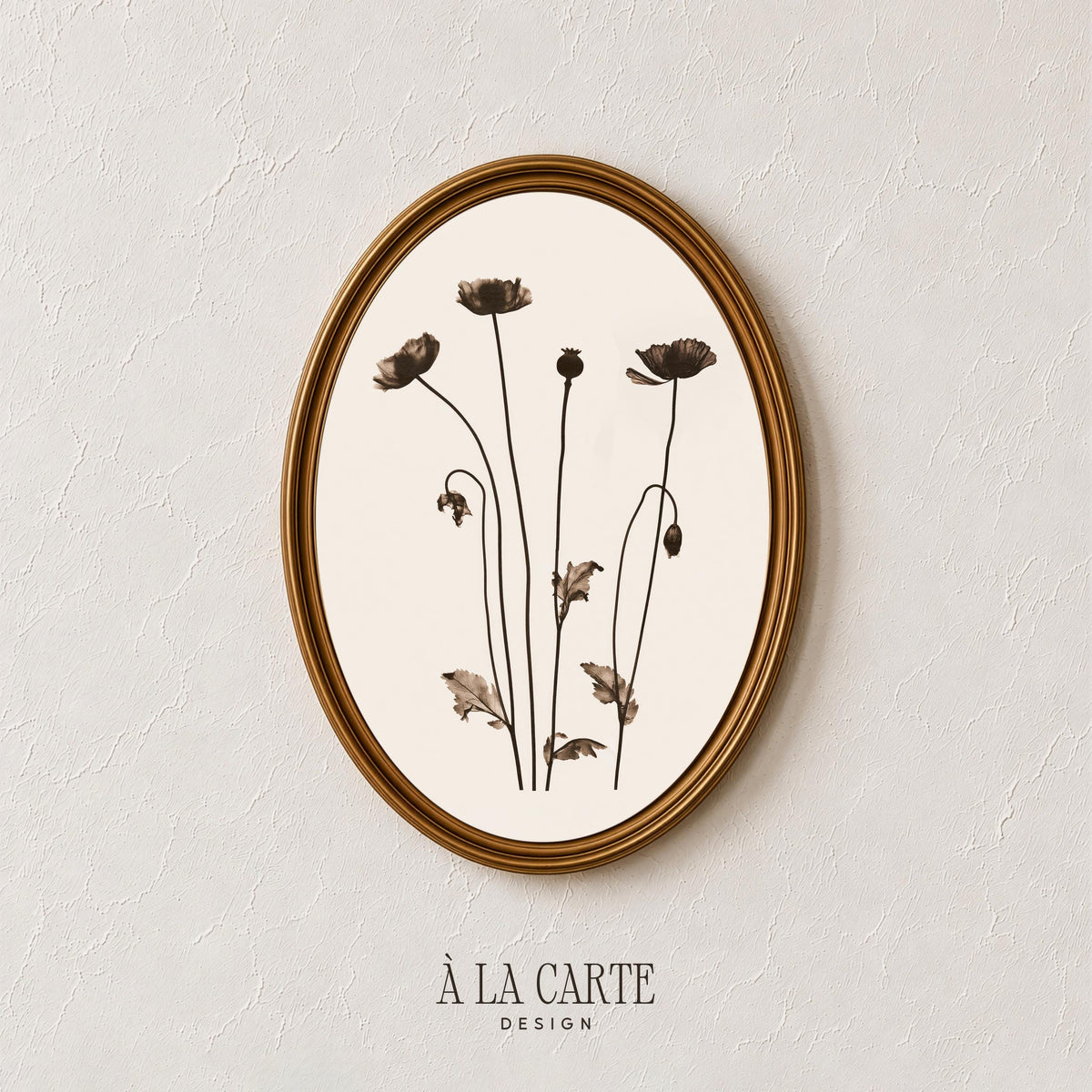 Vintage herbarium wall art printable — abstract floral line study in earthy sepia with organic seed pod details and farmhouse aesthetic