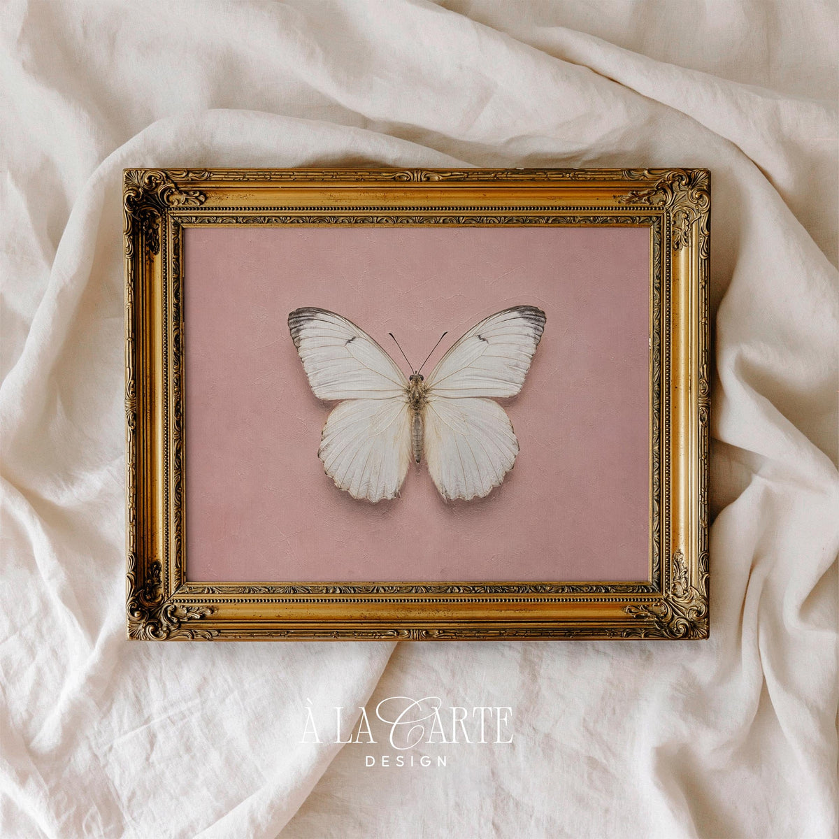 Vintage butterfly illustration poster — elegant feminine design with gentle blush undertones