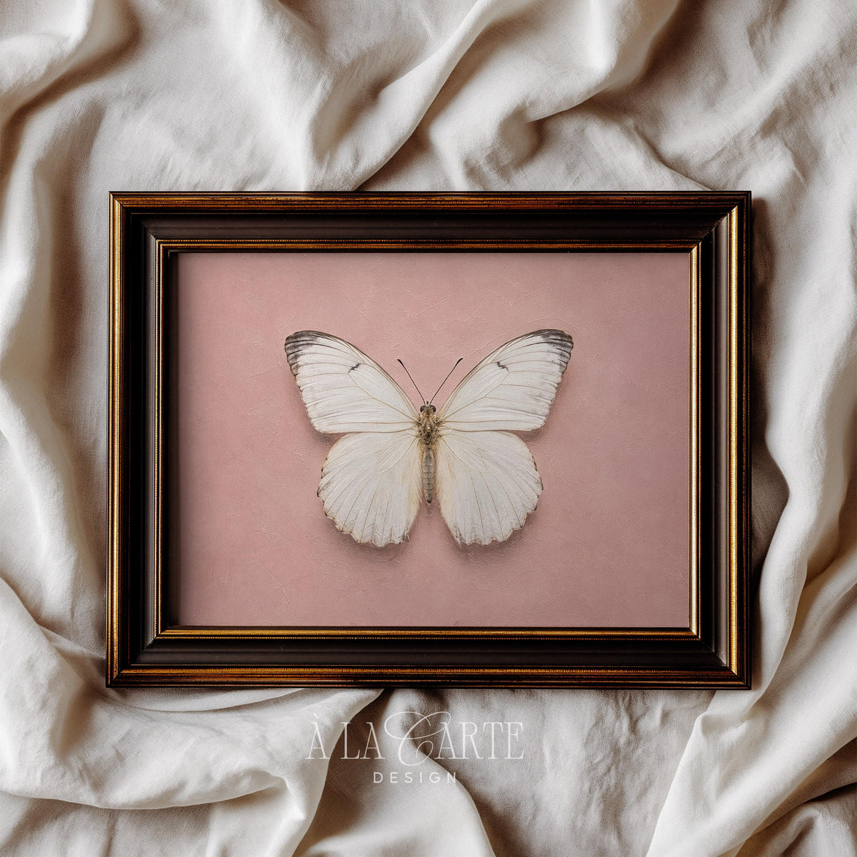 Naturalistic butterfly wall decor — elegant vintage-inspired artwork with delicate detailing