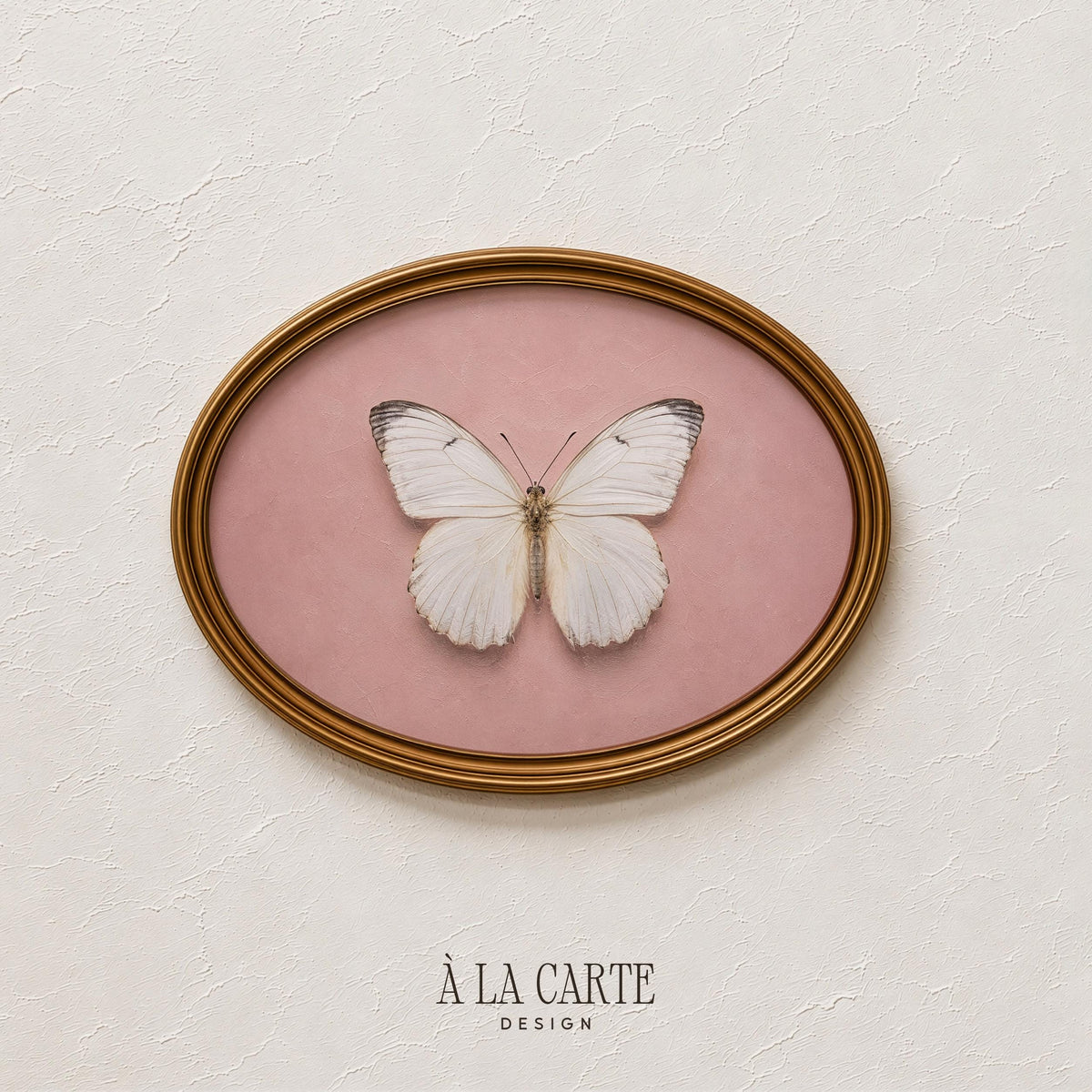 White butterfly nature print for dining room — feminine illustration with soft romantic mood