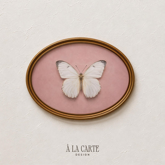 White butterfly nature print for dining room — feminine illustration with soft romantic mood
