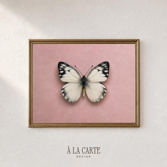 Vintage butterfly painting digital artwork — spread-wing specimen with feminine aesthetic perfect for bedroom wall