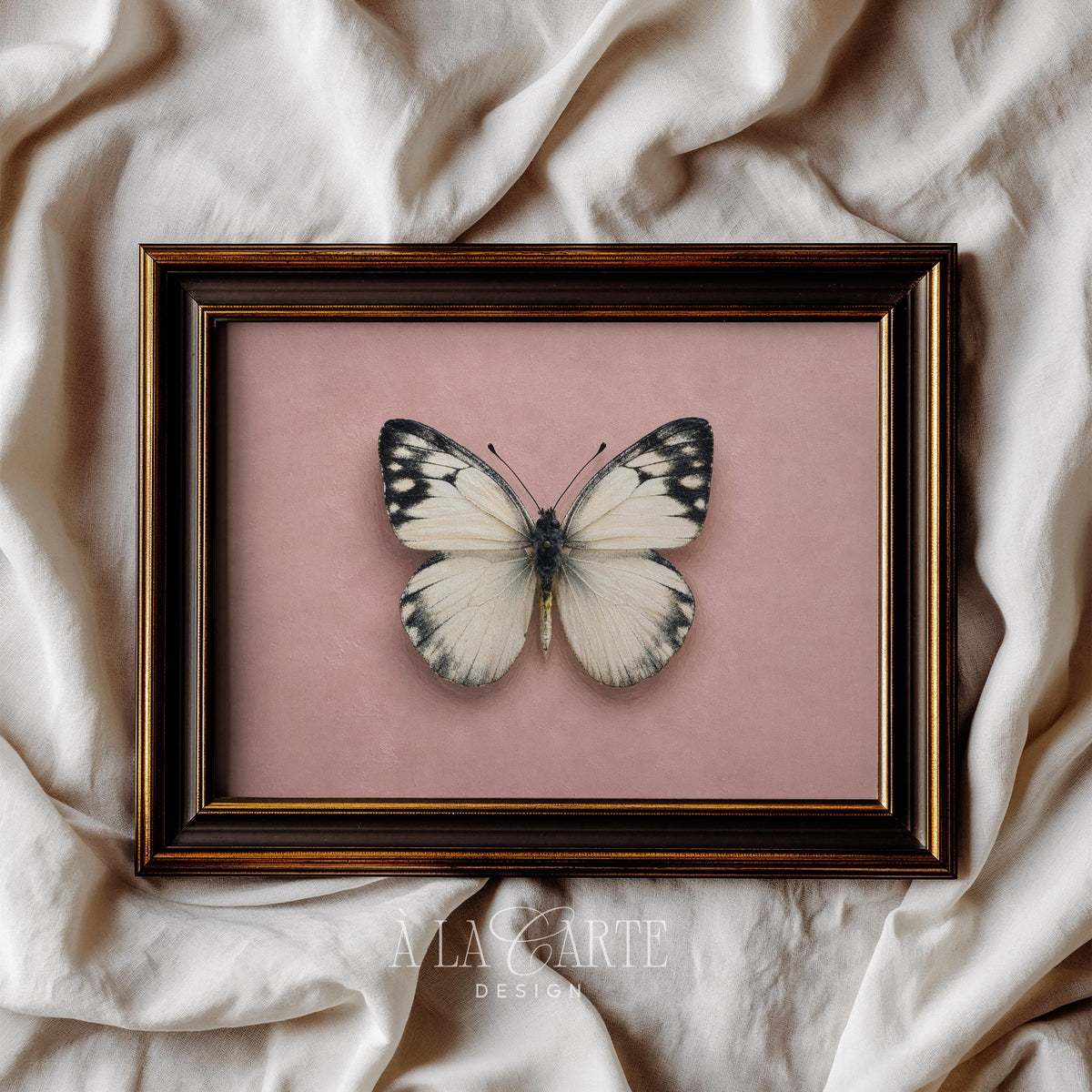 Black-spotted butterfly poster with painterly background texture — charming vintage design for girl's room decor