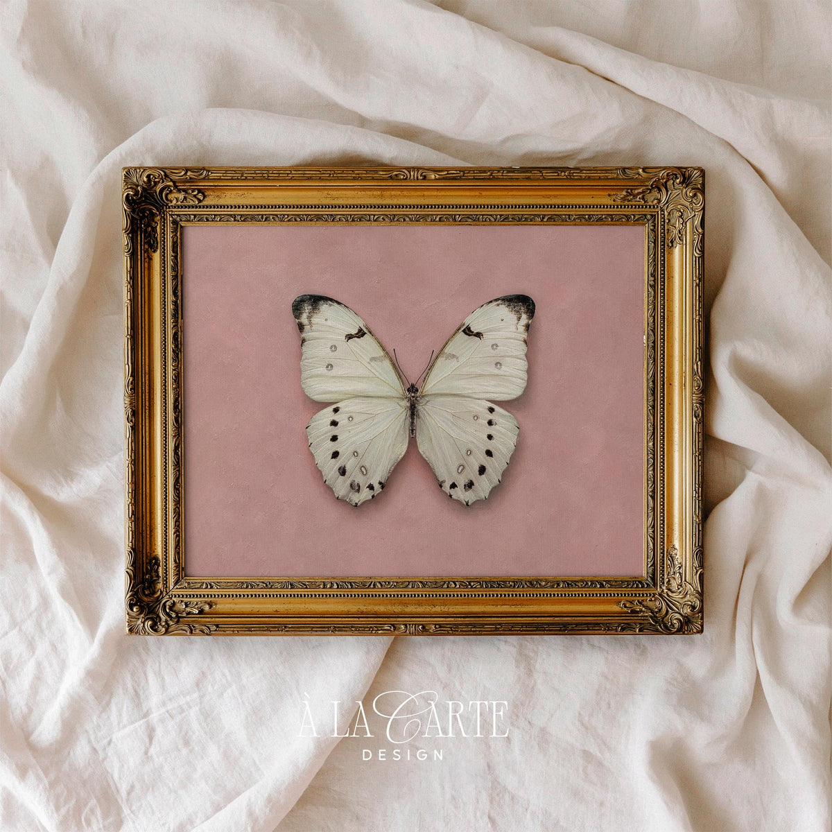 Fine art butterfly wall print with black-spotted wings — antique naturalist collection aesthetic for nursery
