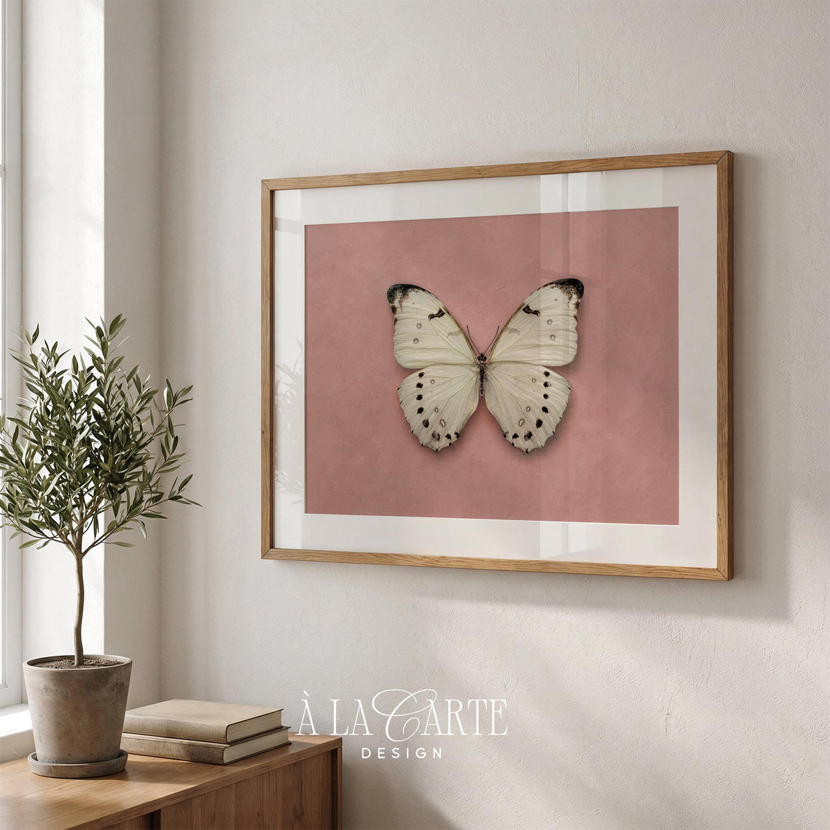 Vintage naturalist butterfly artwork — feminine romantic illustration perfect for cottage aesthetic spaces