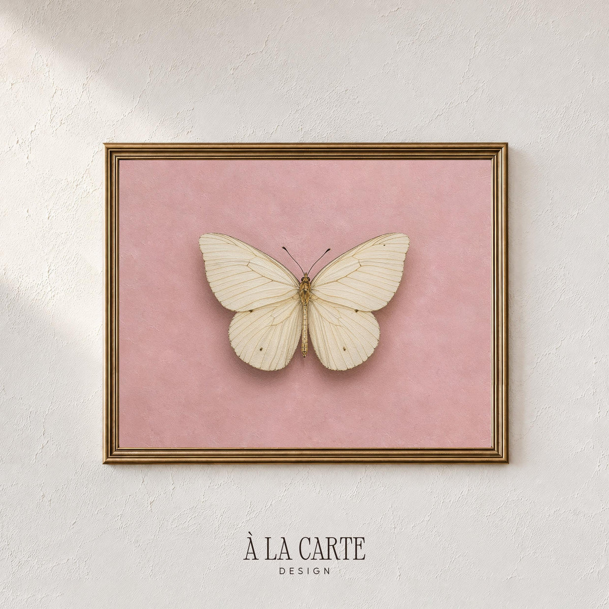 Vintage specimen poster printable art — symmetrical winged insect illustration with antique charm