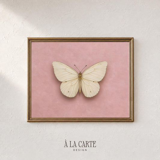 Vintage specimen poster printable art — symmetrical winged insect illustration with antique charm