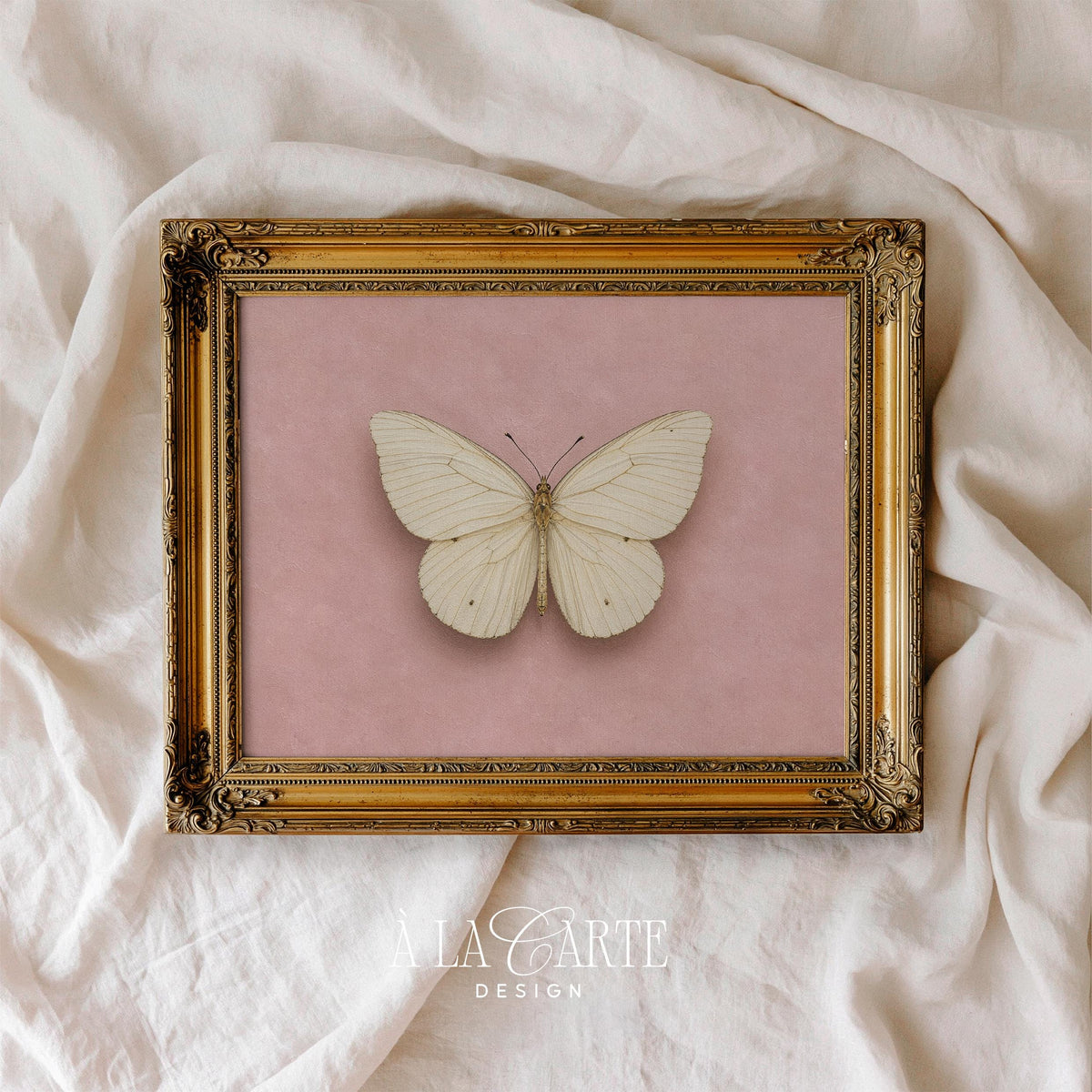 Natural history butterfly poster instant print — symmetrical wings with dreamy vintage rose tones