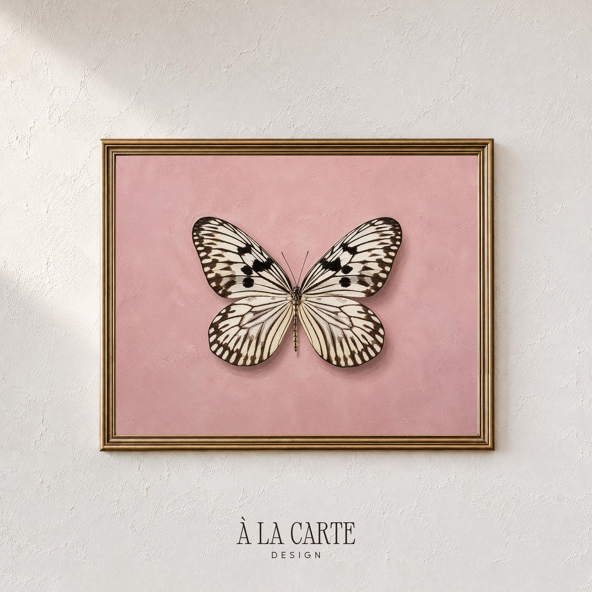 Detailed butterfly poster for girl's room — cottagecore wall art with spotted wing markings and aged texture
