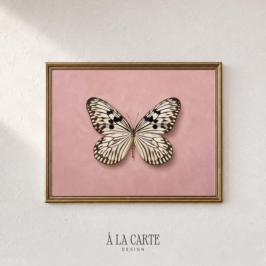 Detailed butterfly poster for girl's room — cottagecore wall art with spotted wing markings and aged texture