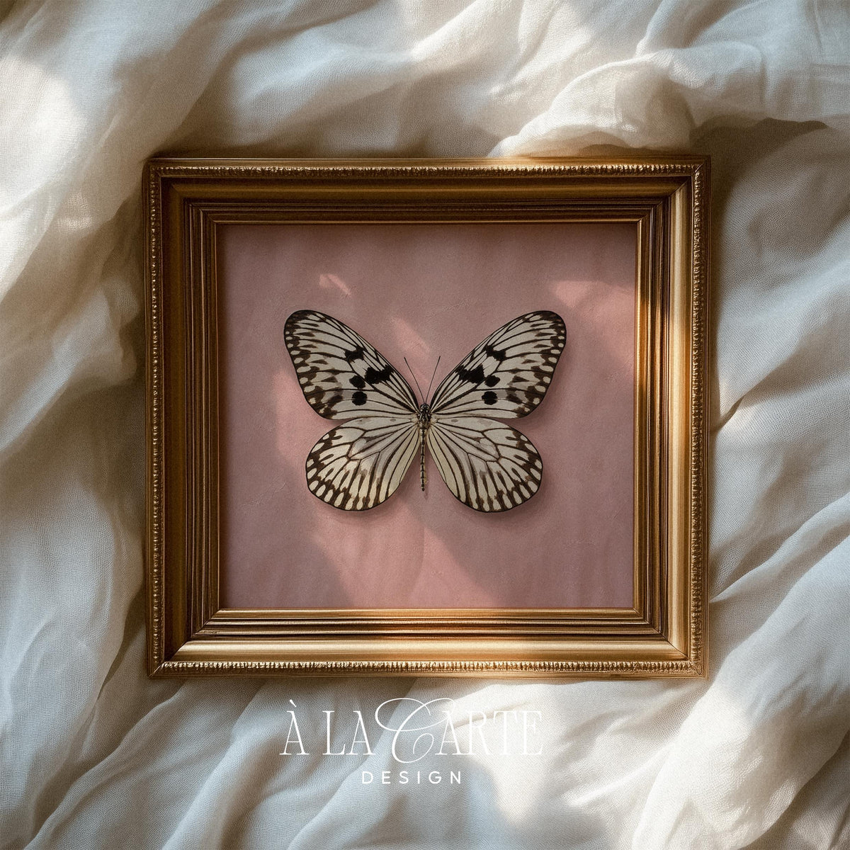 Ornate butterfly digital wall art for baby room — fine-lined illustration with romantic country charm
