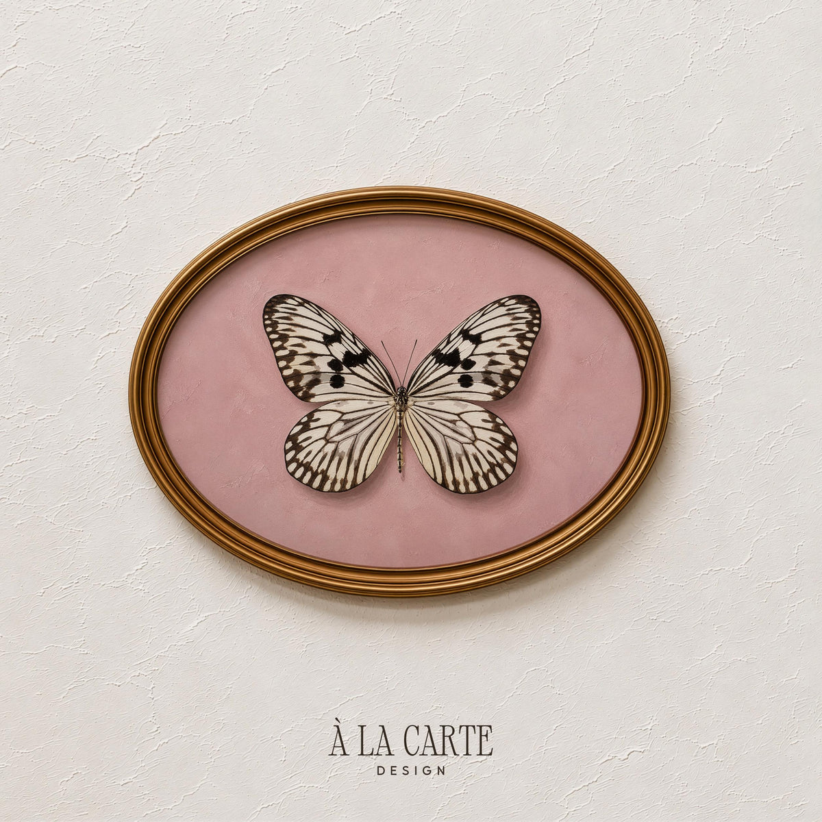 Antique butterfly illustration poster for nursery — feminine wall art with delicate veining on pale pink