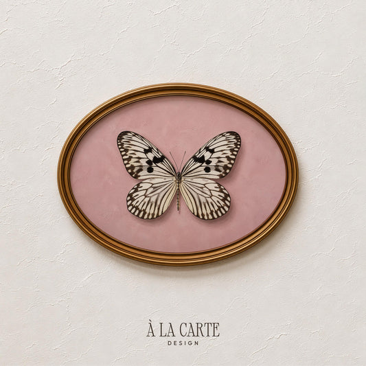 Antique butterfly illustration poster for nursery — feminine wall art with delicate veining on pale pink