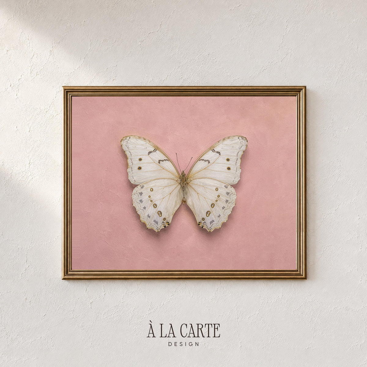 Fine art butterfly printable for gallery wall — vintage specimen study with gold-dotted pattern on blush canvas