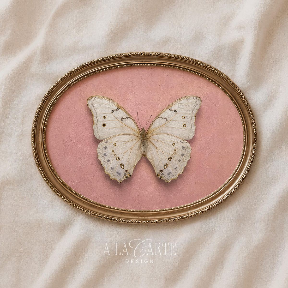 Detailed butterfly painting print for nursery — feminine naturalist rendering with textured soft pink background