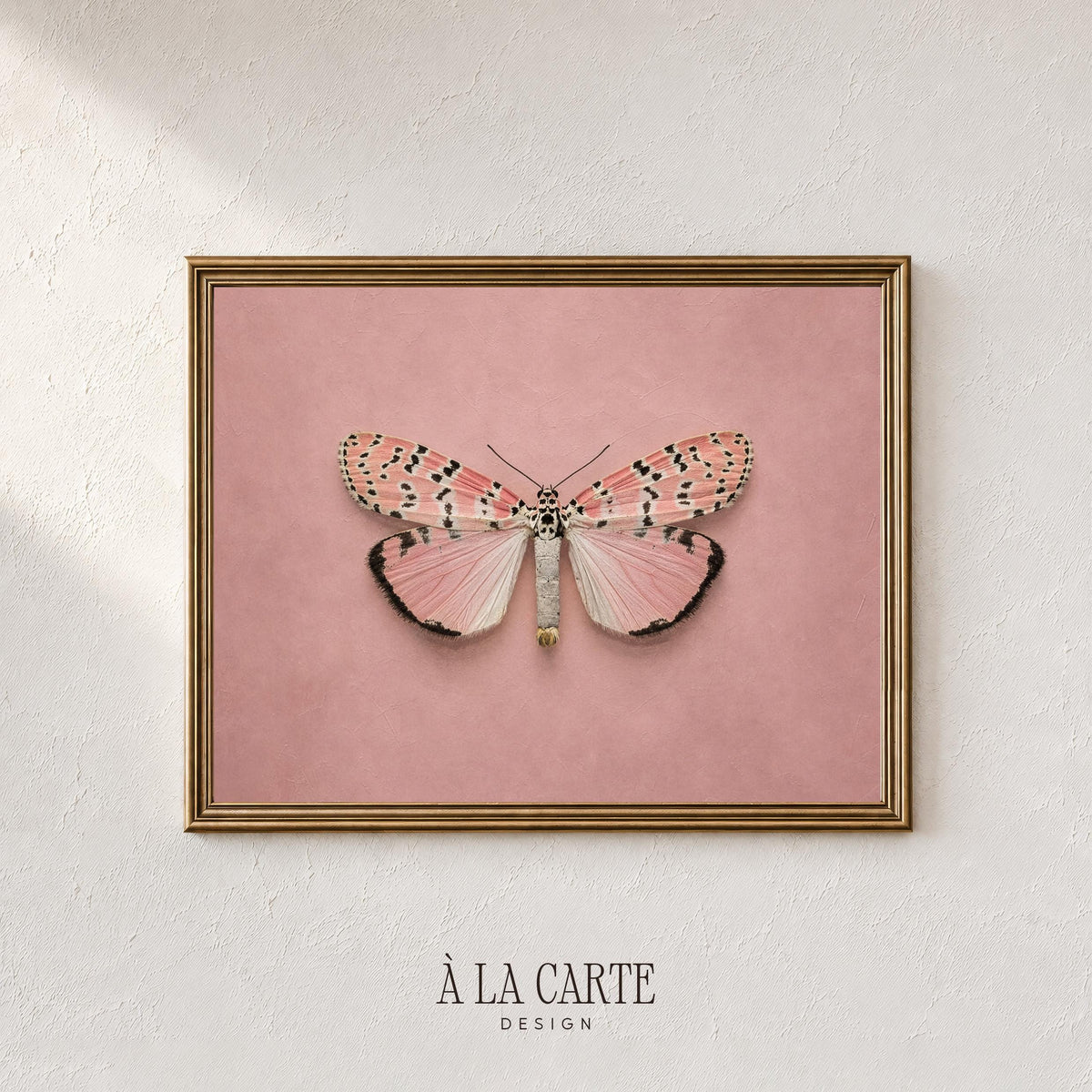Spotted wing insect poster featuring vintage charm — feminine instant download artwork in soft pink and white palette
