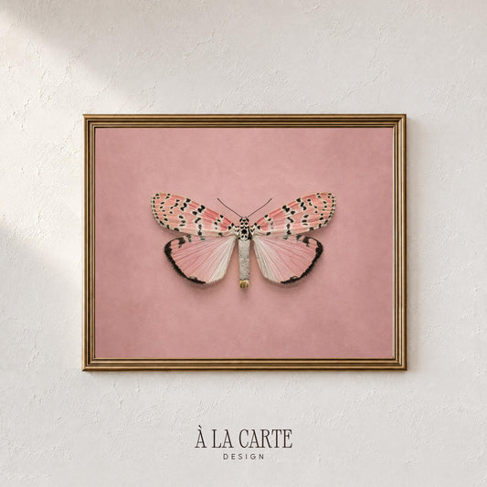 Spotted wing insect poster featuring vintage charm — feminine instant download artwork in soft pink and white palette