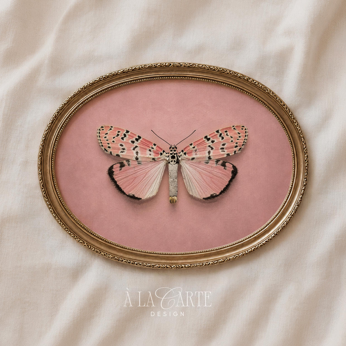 Moth illustration poster featuring symmetrical patterned wings — cottagecore feminine wall art in muted tones