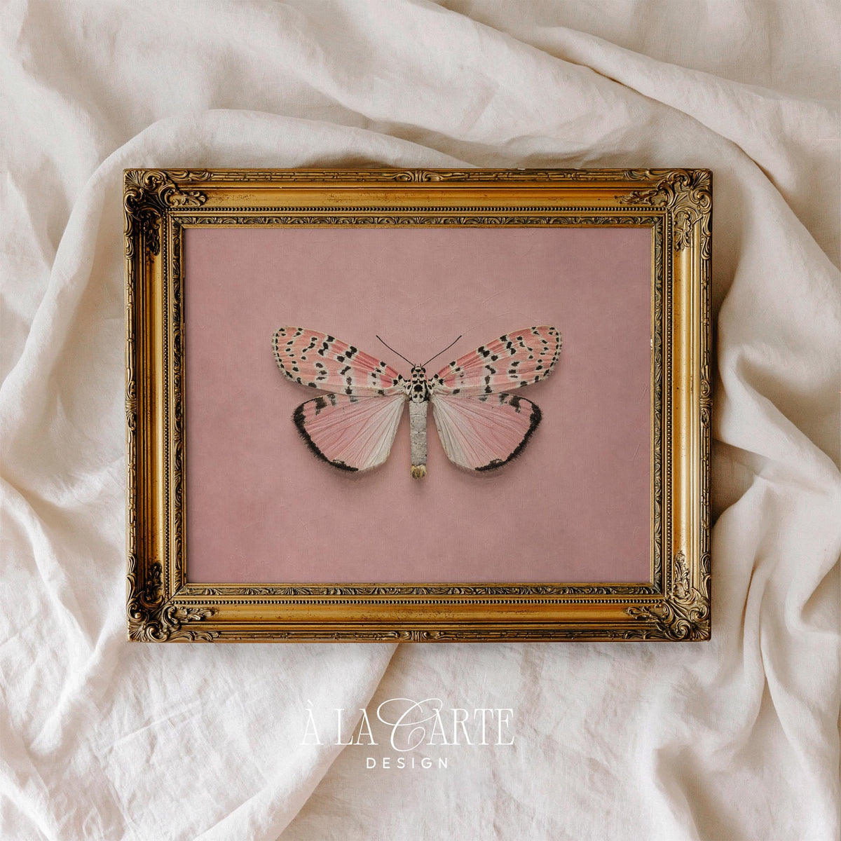 Symmetrical moth artwork poster for bedroom decor — soft cottagecore aesthetic with pale pink tones and detailed wings